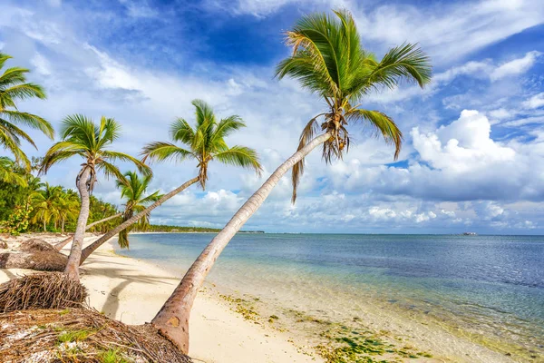 Zonnig tropisch strand in Dominicaanse Republiek — Stockfoto
