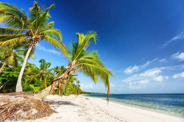 Playa tropical soleada en República Dominicana — Foto de Stock
