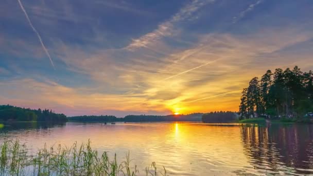 Timelapse de calma hermosa puesta de sol sobre el lago del bosque — Vídeo de stock