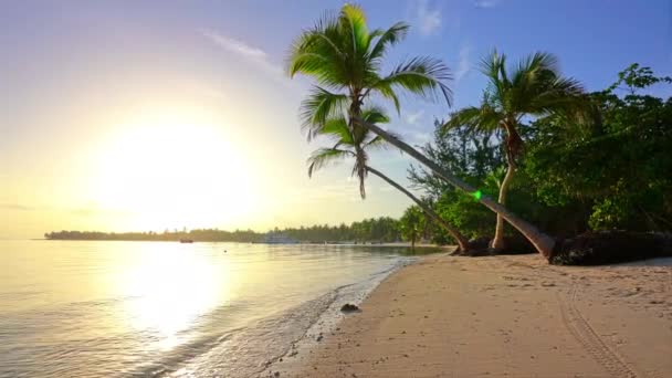 Hermosa playa del océano en República Dominicana — Vídeos de Stock