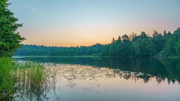 Timelapse av dimmig soluppgång över skogssjö — Stockvideo