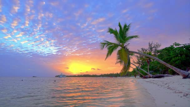 多米尼加共和国海洋海滩上的日出 — 图库视频影像