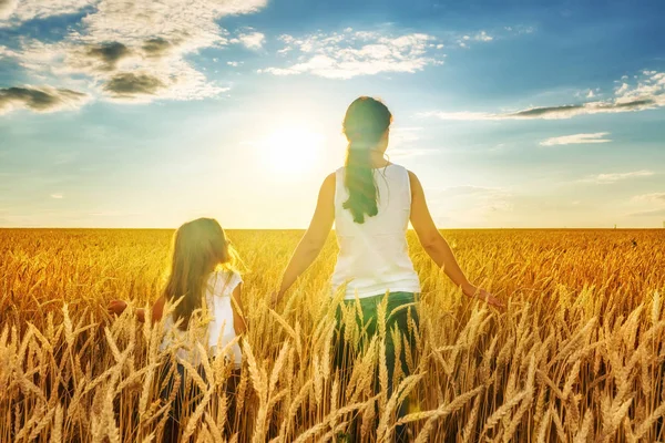 Mujer joven y su hija caminando en el campo de trigo dorado en la tarde soleada . — Foto de Stock