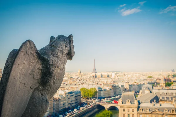 Notre Dame Katedrali 'ndeki Gargoyle, Paris — Stok fotoğraf