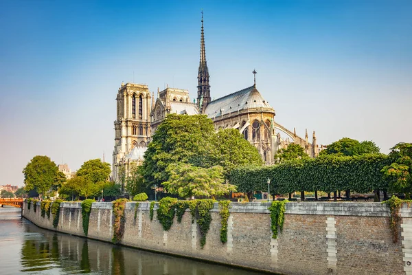 Notre dame de Paris, Fransa — Stok fotoğraf