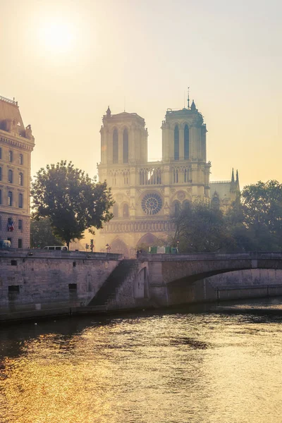 Siene River a Notre Dame de Paris — Stock fotografie
