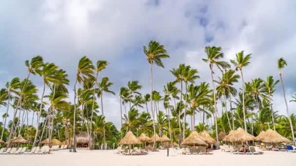 Timelapse de praia com palmeiras na república dominicana — Vídeo de Stock