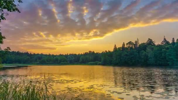 Timelapse van bewolkt zonsopgang boven lake forest — Stockvideo