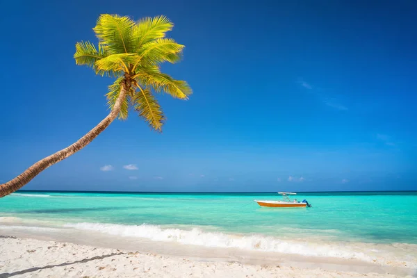 Playa tropical soleada en República Dominicana — Foto de Stock