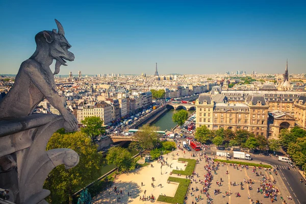 Gargoyle sulla Cattedrale di Notre Dame, Parigi — Foto Stock