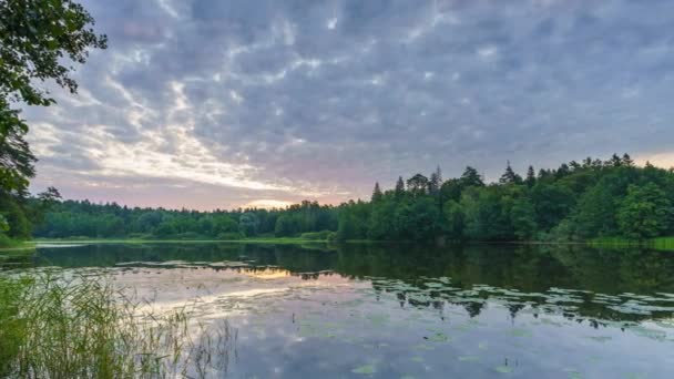 Хронология облачного восхода солнца над лесным озером — стоковое видео