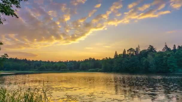 Timelapse van bewolkt zonsopgang boven lake forest — Stockvideo