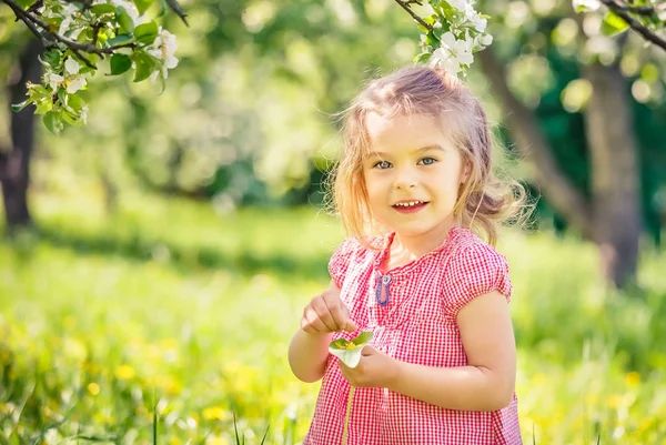 Happy little girl in spring sunny park — Stock Photo, Image