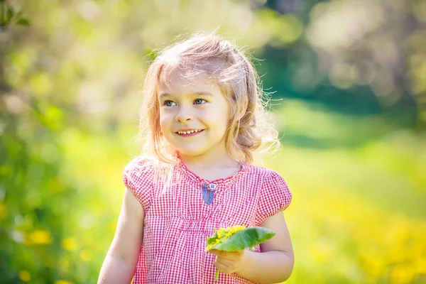 Glückliches kleines Mädchen im sonnigen Park — Stockfoto