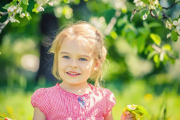 Lycklig liten flicka i äppelträd trädgård — Stockfoto