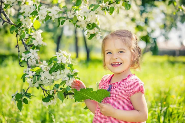 Lycklig liten flicka i äppelträd trädgård — Stockfoto