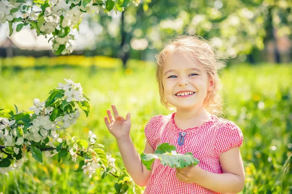 苹果树花园里快乐的小女孩 — 图库照片