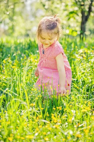 Bonne petite fille dans le jardin de printemps — Photo