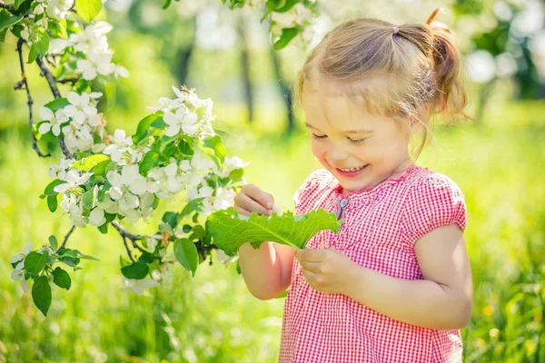 Gelukkig klein meisje in appel boom tuin — Stockfoto