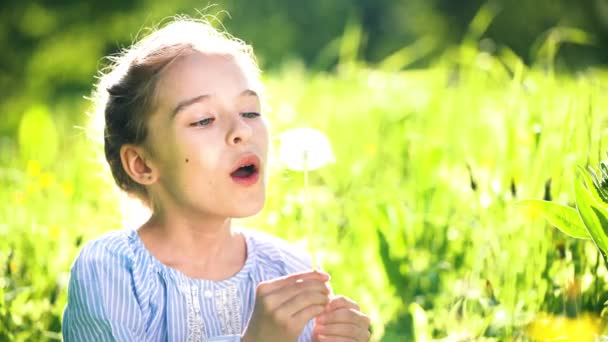 Bella bambina che soffia dente di leone nel giorno d'estate. — Video Stock