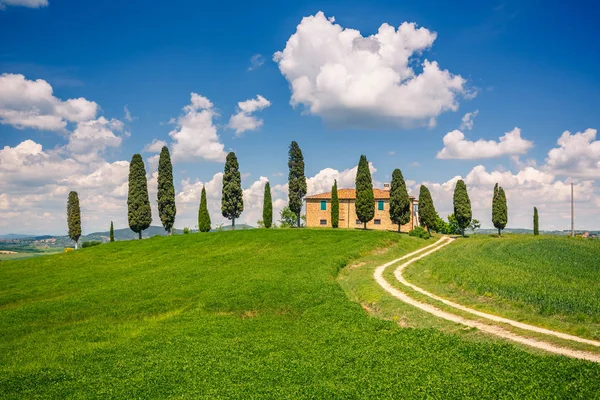 Voorjaarslandschap Toscane — Stockfoto