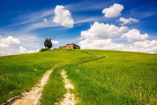 Toskania wiosenny krajobraz — Zdjęcie stockowe