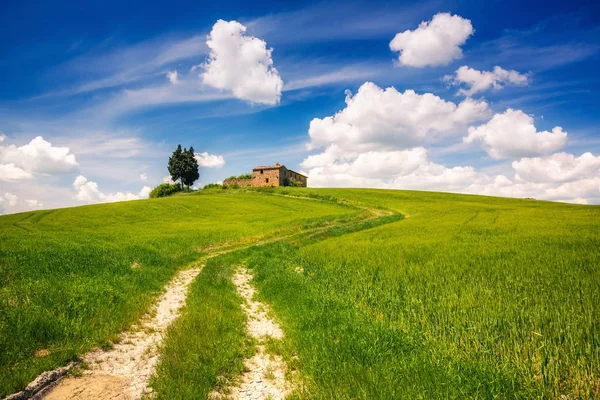 Toscana vårlandskap — Stockfoto