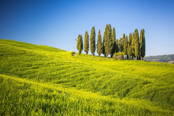 Toscana en primavera —  Fotos de Stock