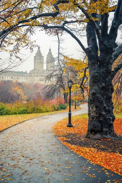 NY Central park en la mañana brumosa — Foto de Stock