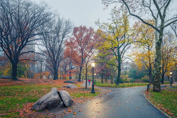 Centrální park NY v deštivém ránu — Stock fotografie