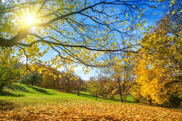 Sunny autumn in countryside — Stock Photo, Image