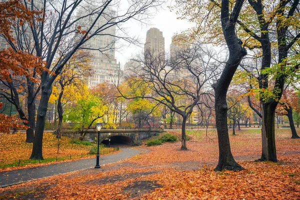 NY Central park w deszczowy poranek — Zdjęcie stockowe