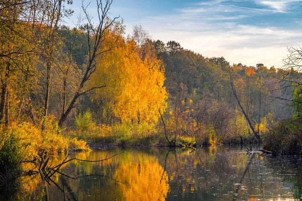 Livlig höst skog som reflekteras i en flod — Stockfoto