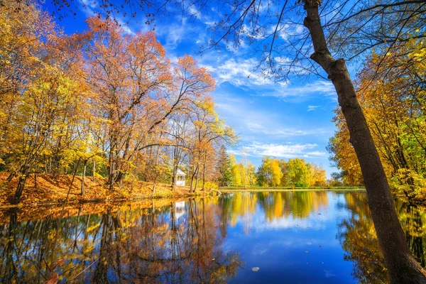 Słoneczna jesień w parku nad jeziorem — Zdjęcie stockowe