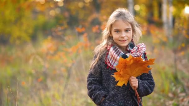 Niña con hojas de otoño — Vídeo de stock