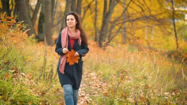 Mujer joven caminando en el parque de otoño — Vídeo de stock