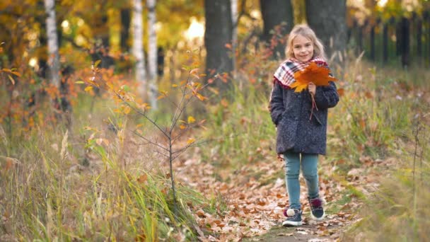 Sonbahar yaprakları ile küçük kız — Stok video