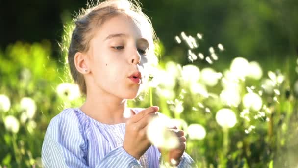 아름다운 어린 소녀가 여름날 민들레를 불며. — 비디오