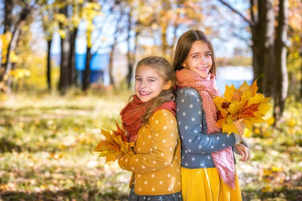 晴れた秋の日に公園で一緒にポーズをとる2人のかわいい笑顔の8歳の女の子. — ストック写真