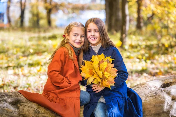 Twee schattige lachende 8 jaar oude meisjes poseren samen in een park op een zonnige herfst dag. — Stockfoto