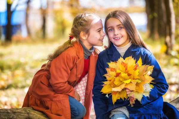 Dois sorrisos bonitos 8 anos meninas conversando em um parque em um dia ensolarado de outono . — Fotografia de Stock