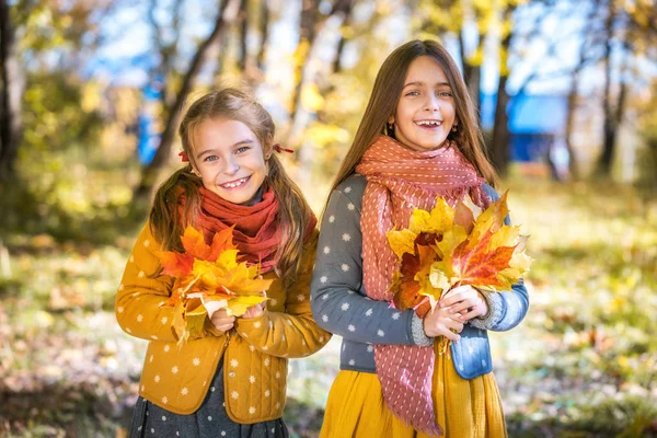 Güneşli bir sonbahar gününde bir parkta birlikte poz iki sevimli gülümseyen 8 yaşındaki kız. — Stok fotoğraf