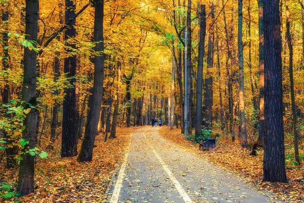 Camino en el parque de otoño — Foto de Stock