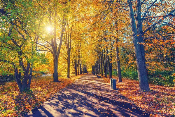 Gasse im lebendigen Herbstpark — Stockfoto