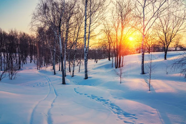 Πολύχρωμο Χειμώνας ηλιοβασίλεμα — Φωτογραφία Αρχείου