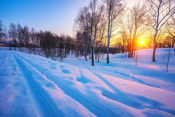 Färgglada vinter sunset — Stockfoto