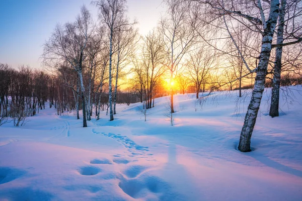 Farbenfroher Wintersonnenuntergang — Stockfoto