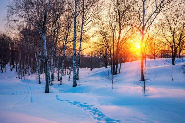 Zonsondergang in de kleurrijke winter — Stockfoto