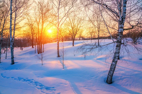 Farbenfroher Wintersonnenuntergang — Stockfoto