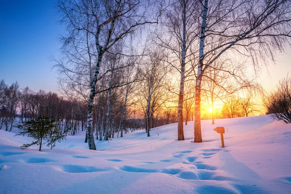 Colorful winter sunset — Stock Photo, Image